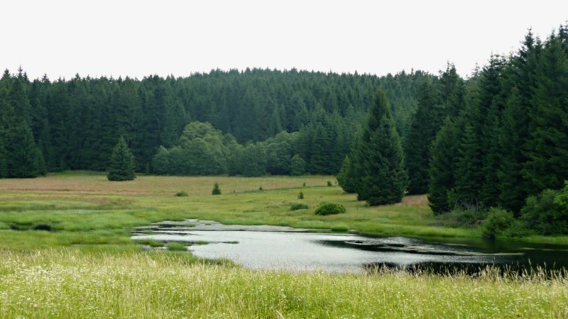 česká krajina jezero v Českém lese