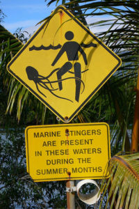 varování před medúzami