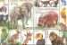 Zoo na poštovních známkách. Pošlete pohled s vaším oblíbeným zvířetem